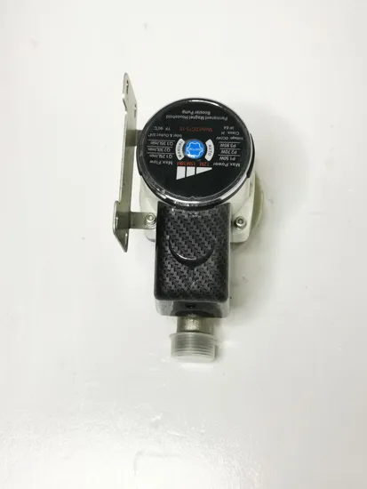Ocean Permanent Magnet Pressure DC Water Pump